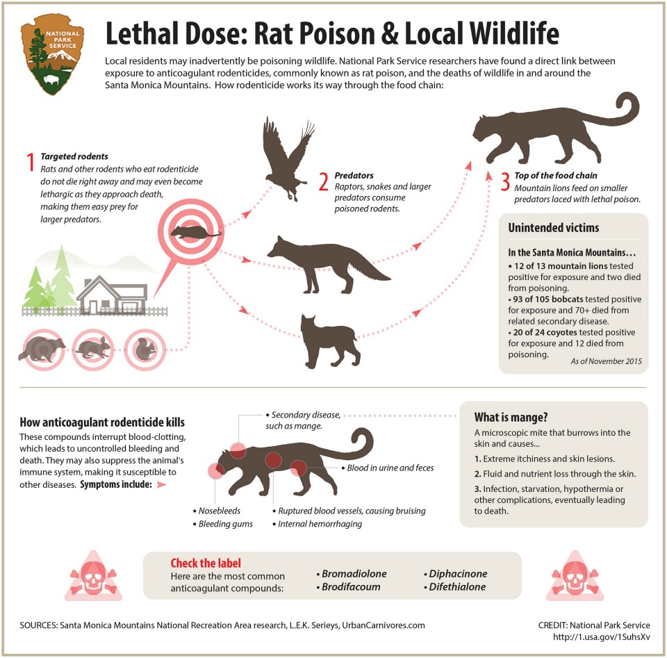 Avoiding Unintentional Poisoning