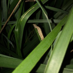 img_3882