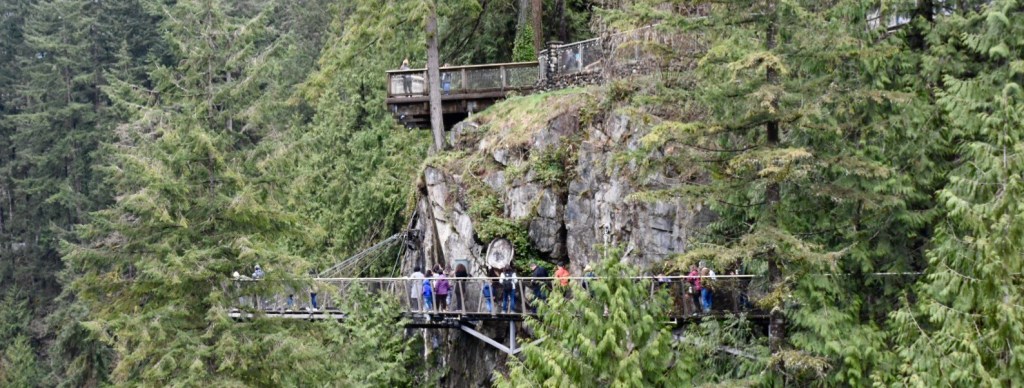 The Rainforest at Capilano Suspension Bridge Park