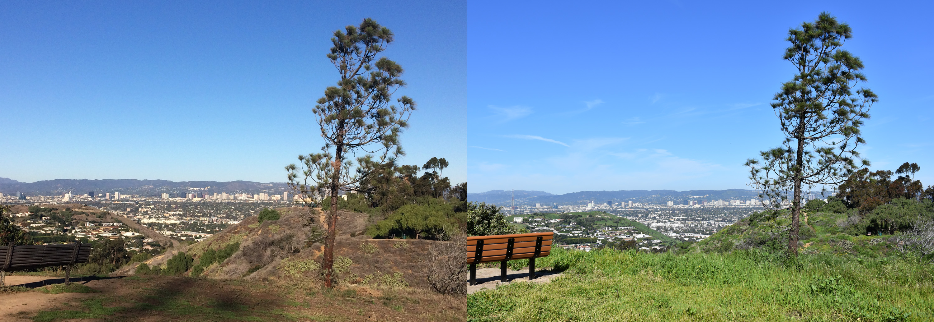 Hahn View Montage