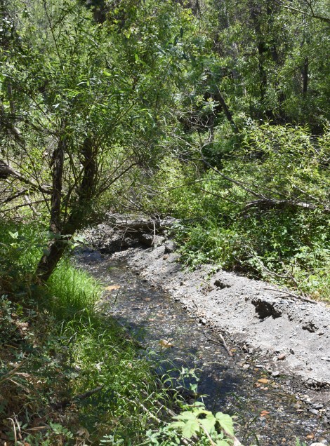 Rustic Creek
