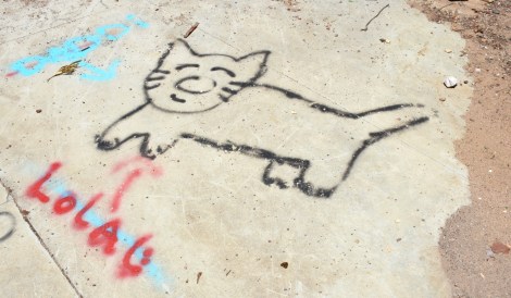 Graffiti Cat at Murphy Ranch