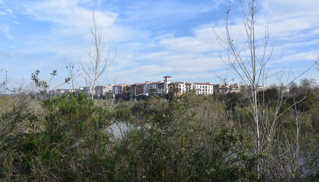 Ballona Freshwater Marsh