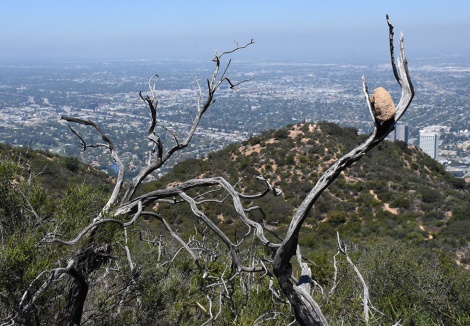 Rock overlooking San Fernando Valley