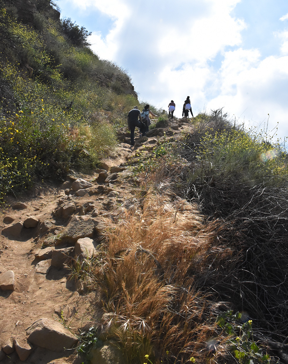 Burbank Peak trail