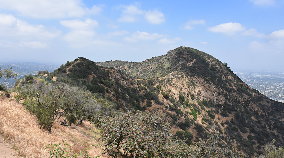 Cahuenga Peak from Mt. Lee