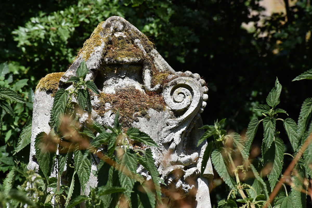DSC_5353 (crop ps)