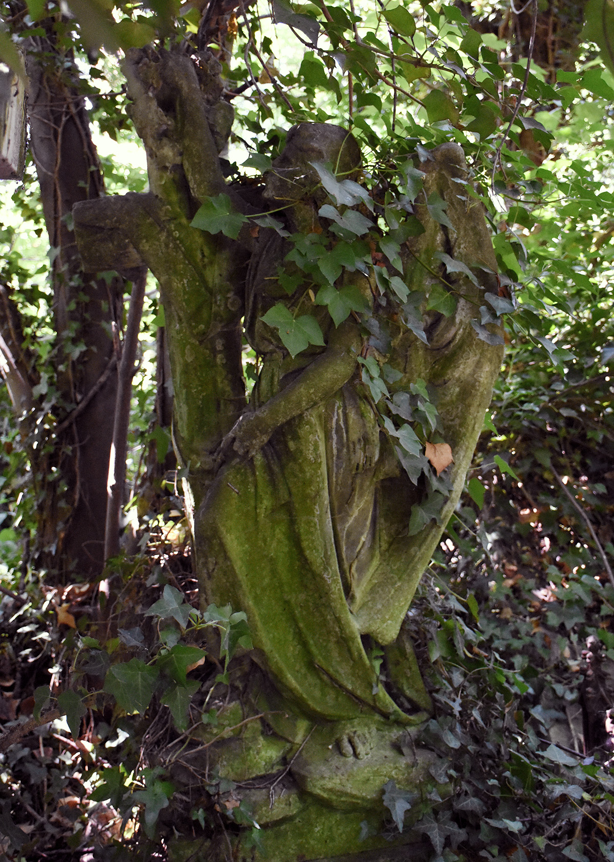 DSC_5388 (crop ps)