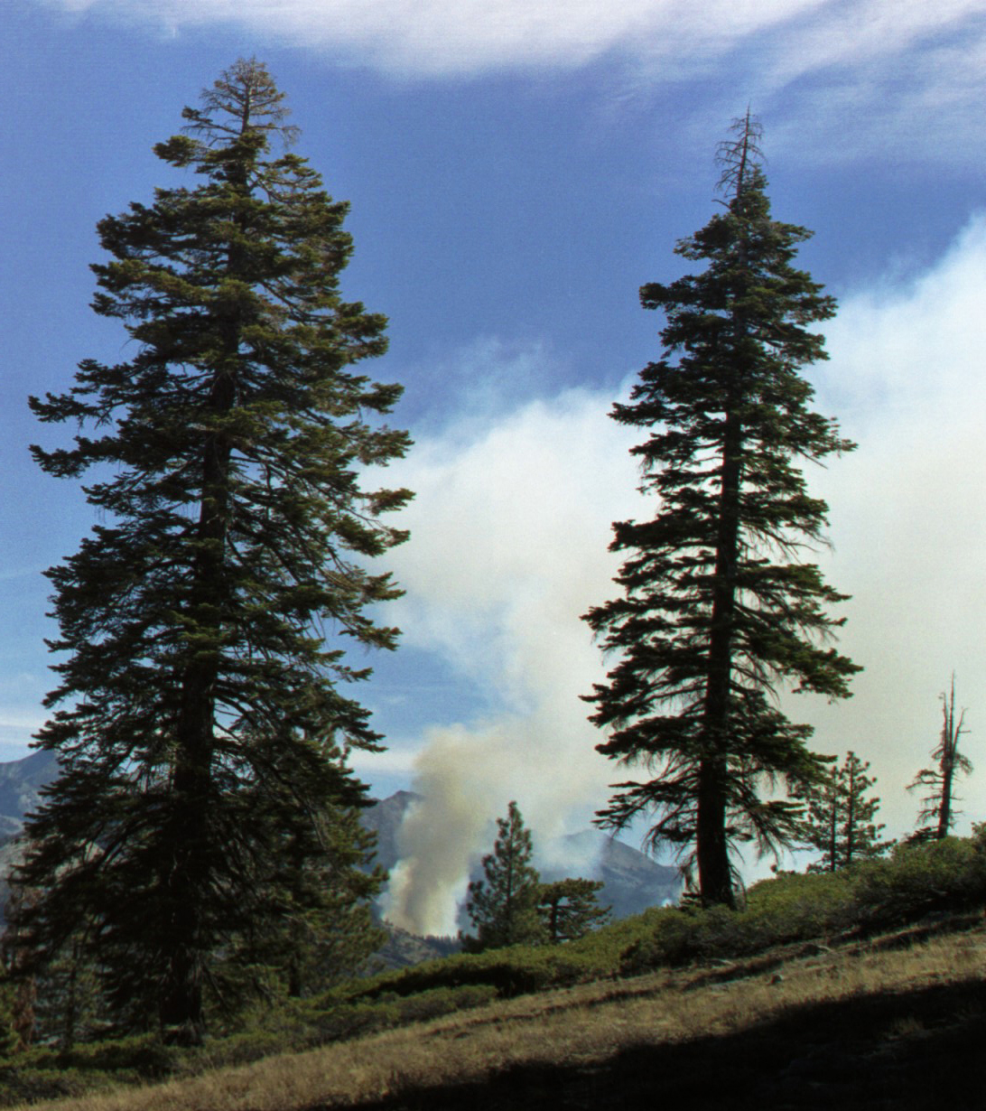 120 - Meadows Fire 2 (crop ps)