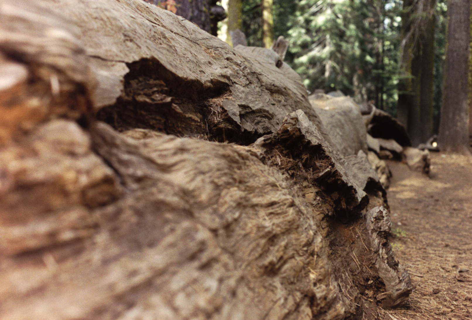 146 - Fallen Giant (ps)