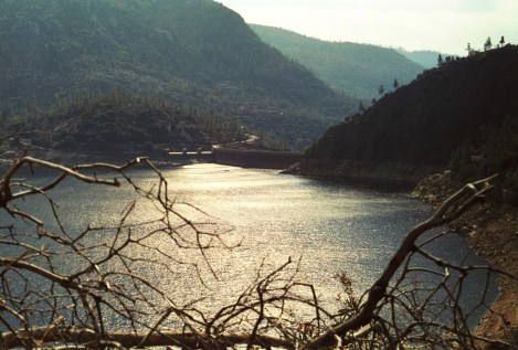 154 - Picture_7 (crop ps)