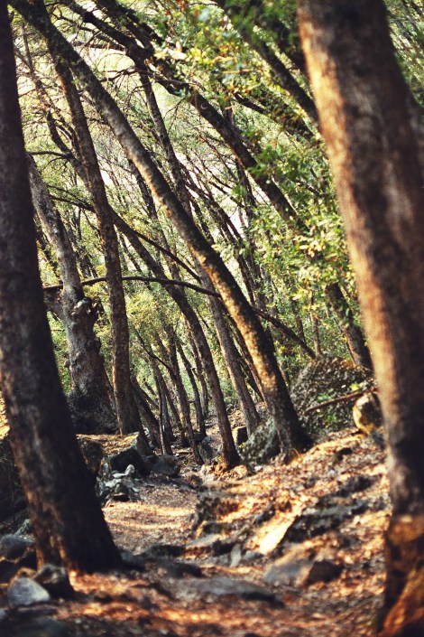 160 - Picture_14 (ps)