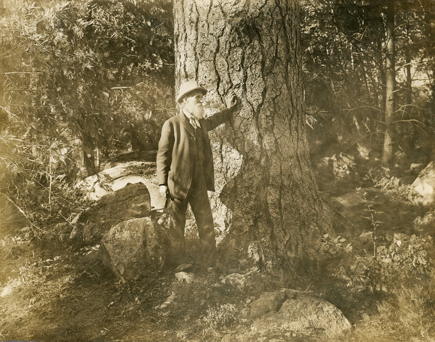 John_Muir,_probably_at_Hetch_Hetchy,_California (crop ps)