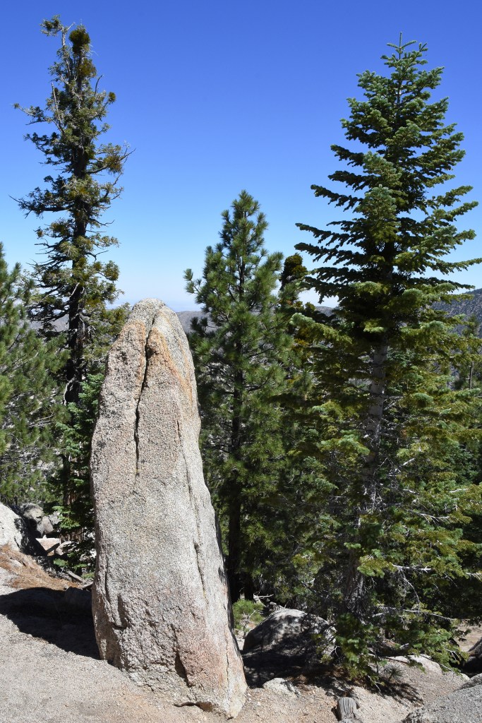 A rock monolith among fir and pine trees on the slope of Winston Peak.