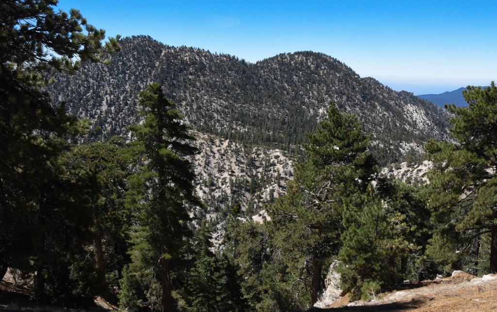 Twin Peaks seen for the Waterman Mountain trail in July 2020.  The Bobcat fire reached this summit before burning down its slope into Devil's Canyon and then up Waterman Mountain.